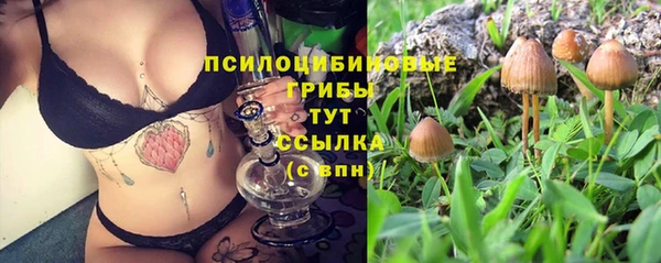 крисы Балабаново