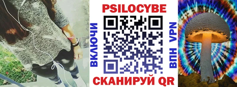 дарнет шоп  Горнозаводск  Псилоцибиновые грибы Psilocybine cubensis 